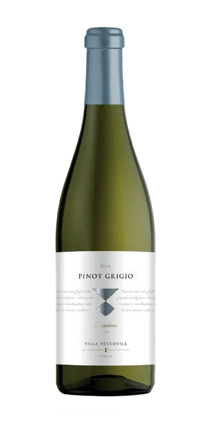PINOT GRIGIO
VILLA VESCOVILE